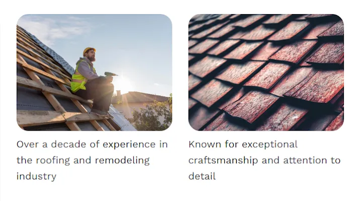 Thomas & Sons Roof Repair Picture 1