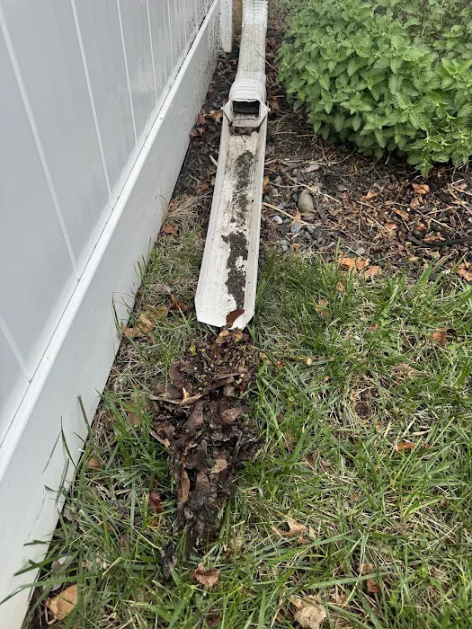 Buzzworthy Roofing & Siding Picture 7