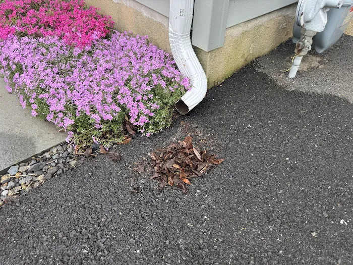 Buzzworthy Roofing & Siding Picture 2