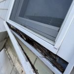 Buzzworthy Roofing & Siding