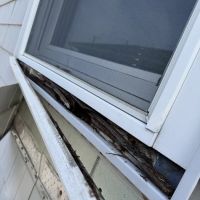 Buzzworthy Roofing & Siding ico