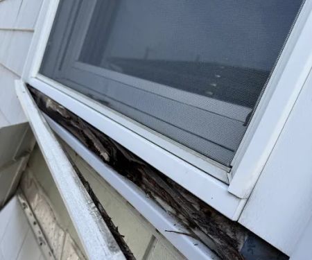 Buzzworthy Roofing & Siding