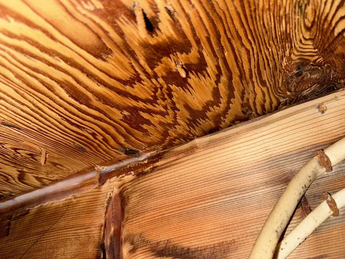 Lasting Construction Picture 2