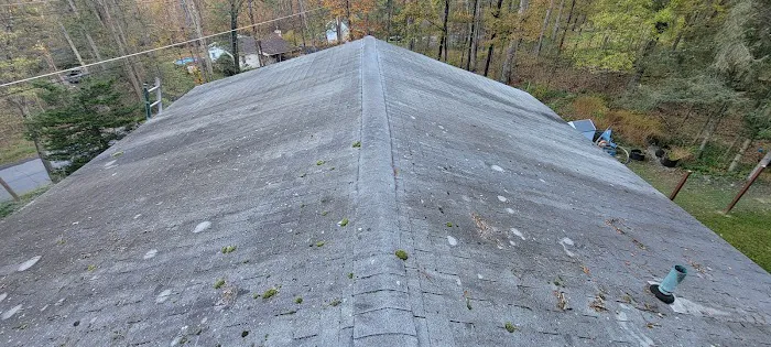Muicela's Roofing LLC Picture 7