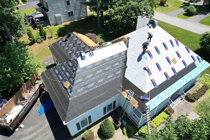 next level roofing Picture 9