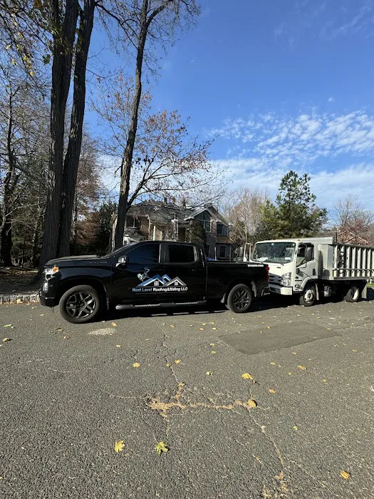 next level roofing Picture 8