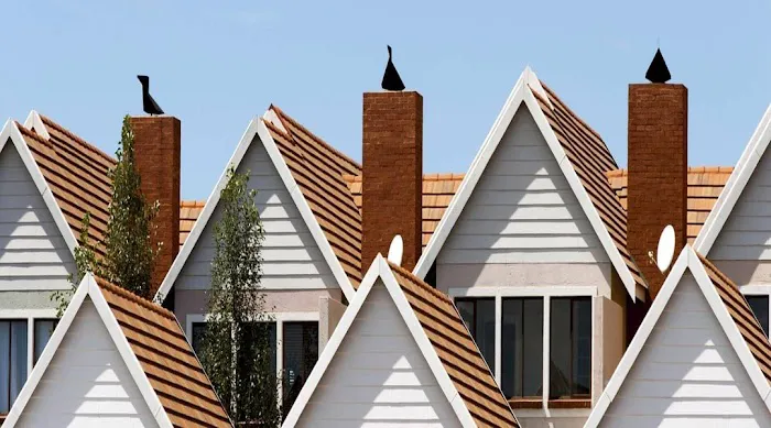 Tucek and Sons, Inc. Picture 5