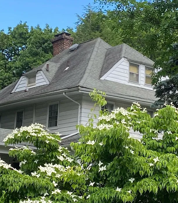 Right Service Roof Repair and Replacement Picture 1