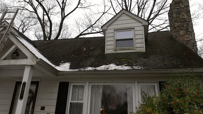 Jersey Roof Cleaners - Guaranteed Roof Stain Removal. Picture 10