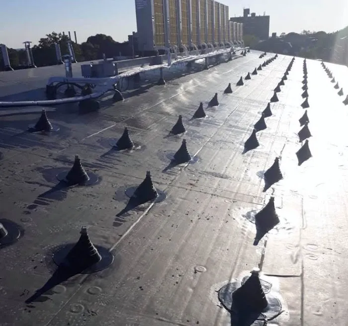 The USA Roofer Picture 4