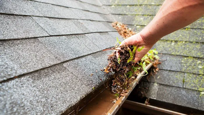 The USA Roofer Picture 8