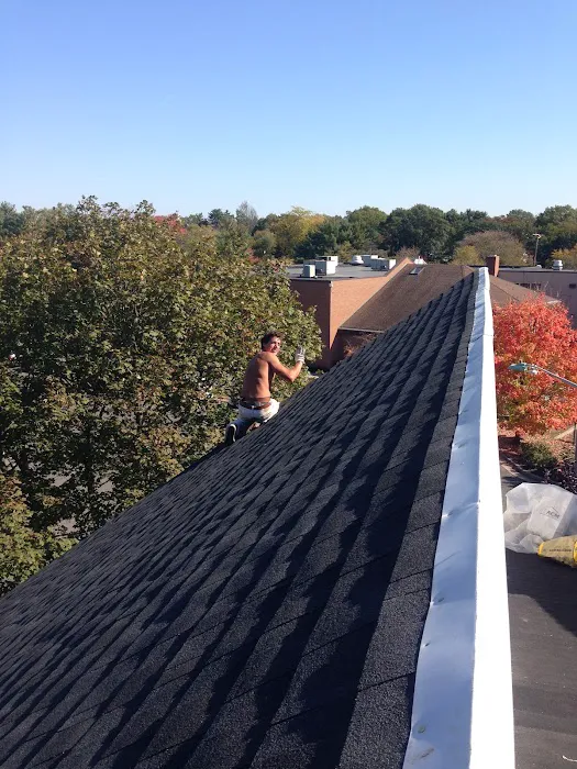 Reese Roof & Repair Picture 1