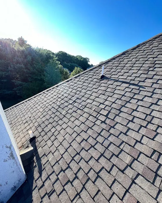 Reese Roof & Repair Picture 8