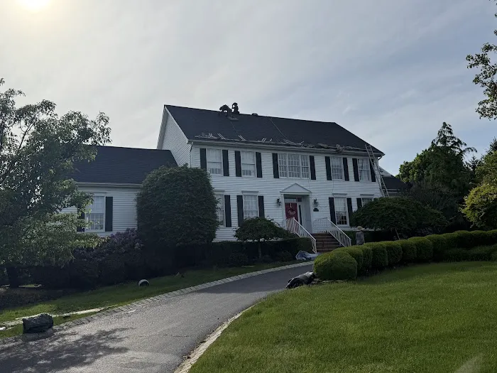 Joe The Roofer Picture 1