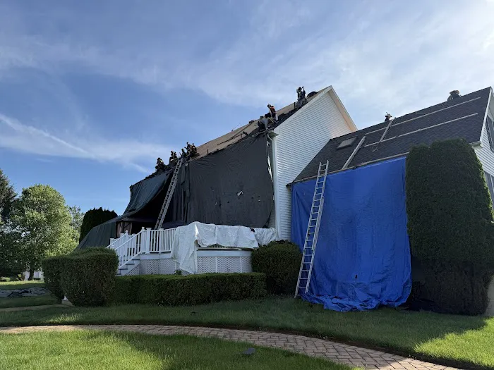 Joe The Roofer Picture 5