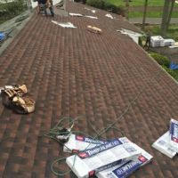 Green Apple Roofing ico