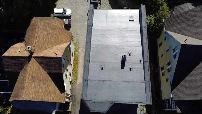 Easy Roofing Picture 3