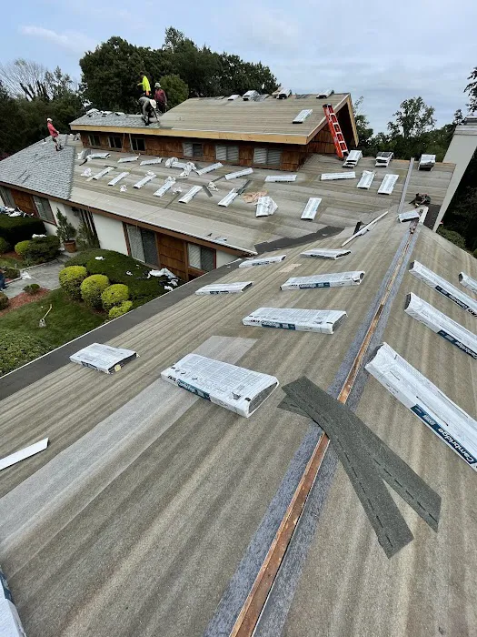 Easy Roofing Picture 2