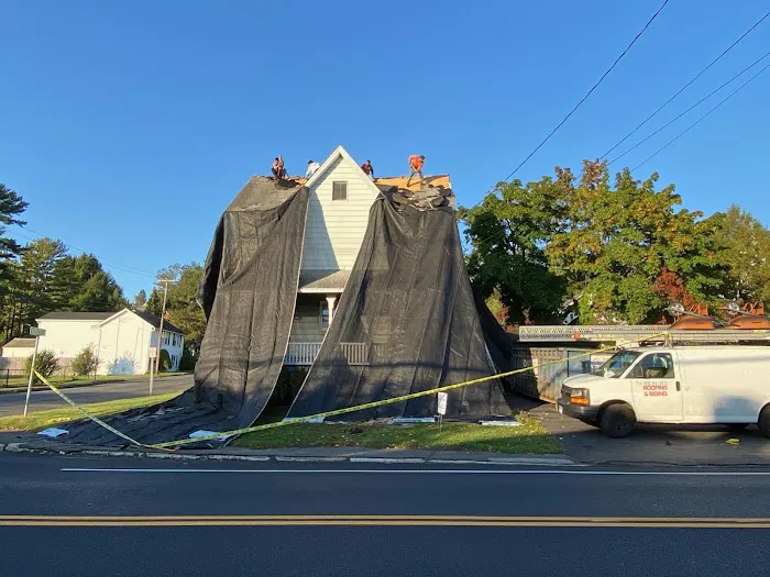 Easy Roofing Picture 4