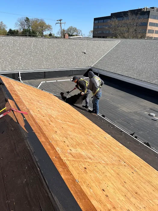 Prestige Roofing Picture 7