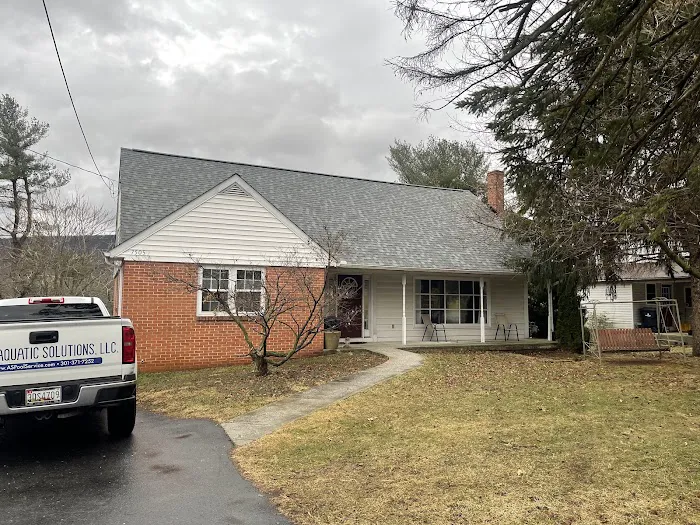 Blue Line Roofing & Exteriors Picture 8