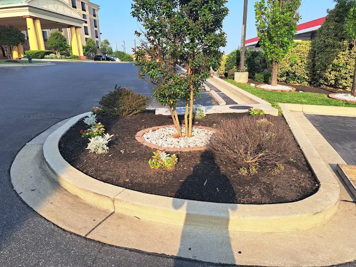 Washington Roofing Picture 1