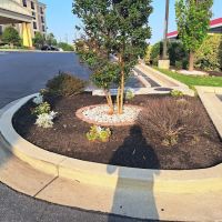 Washington Roofing ico