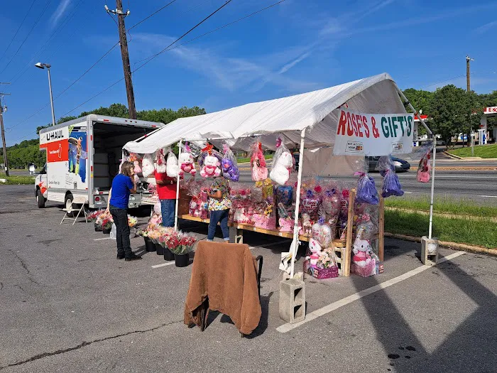 Washington Roofing Picture 5