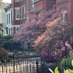 r. thomas daniel roofing