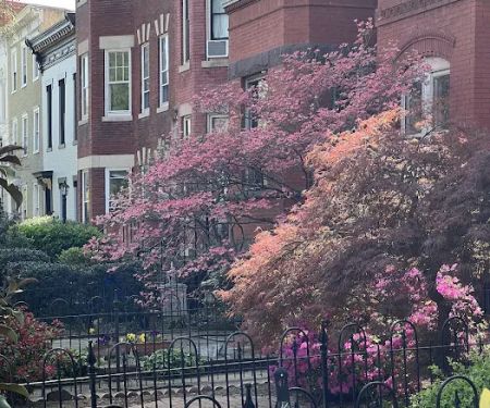 r. thomas daniel roofing