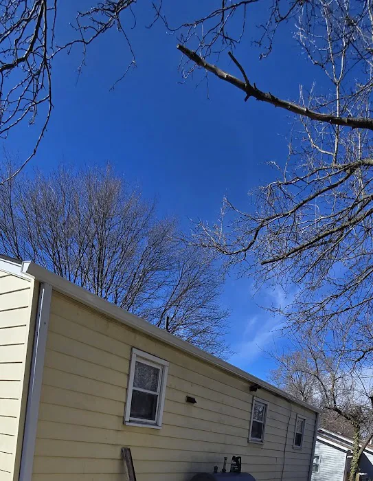 Top American Exteriors LLC Picture 1