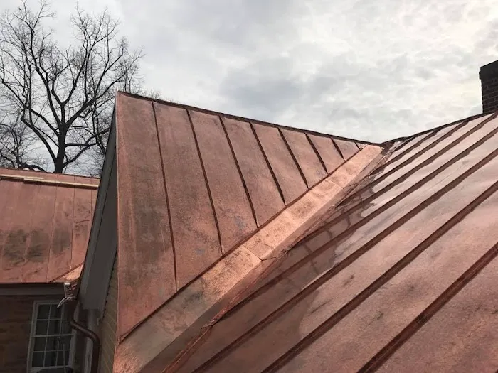 Castro Roofing Picture 2