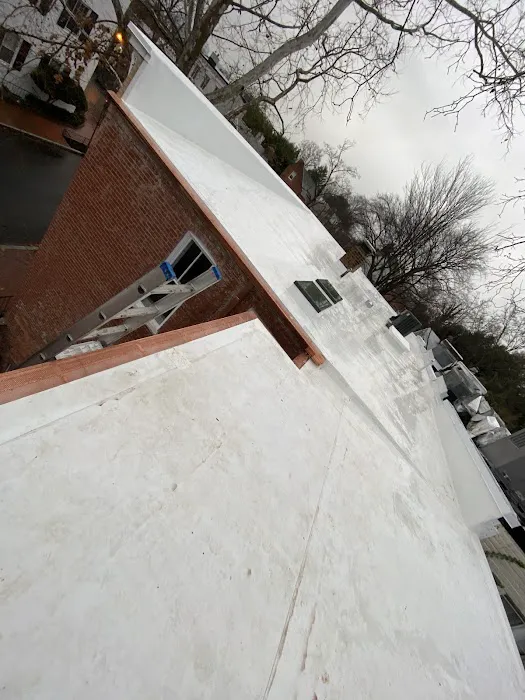 Castro Roofing Picture 7