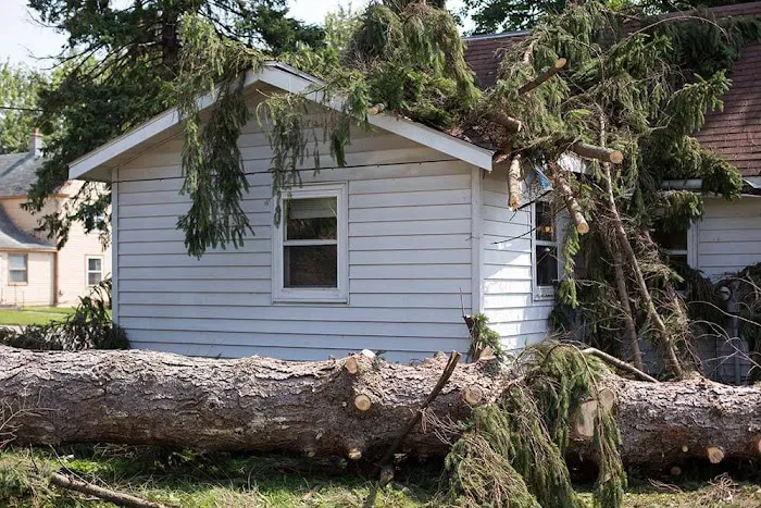 Affordable Roofing Picture 4