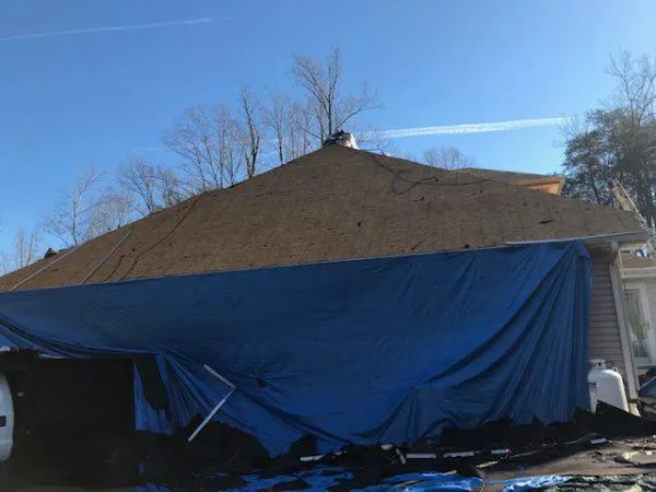 Len Home Design Inc Picture 3