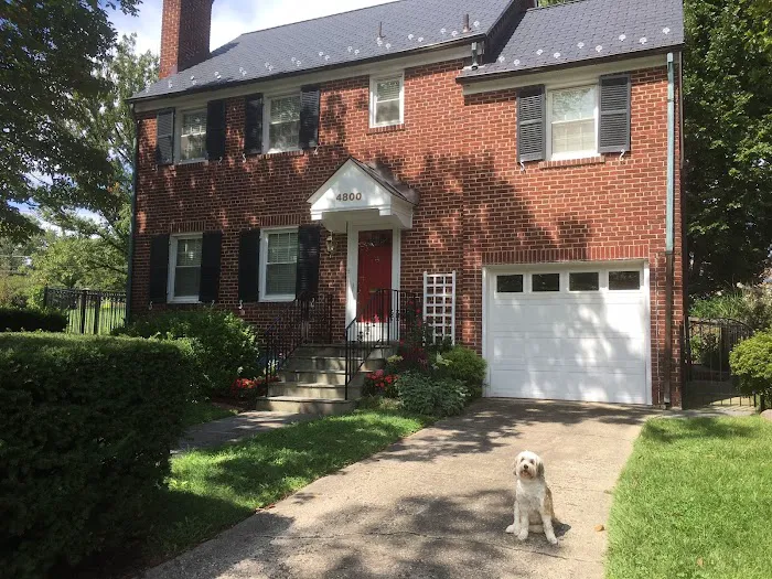 Roof Solutions, Inc. Picture 10