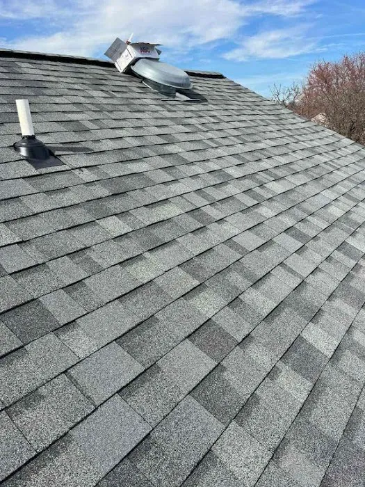 Soltera Roofing Picture 5