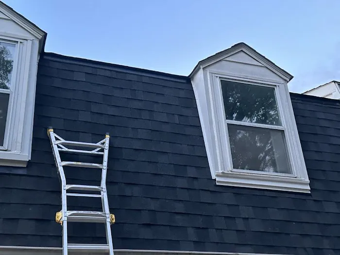 Soltera Roofing Picture 6