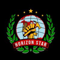 Horizon Star Roofing ico