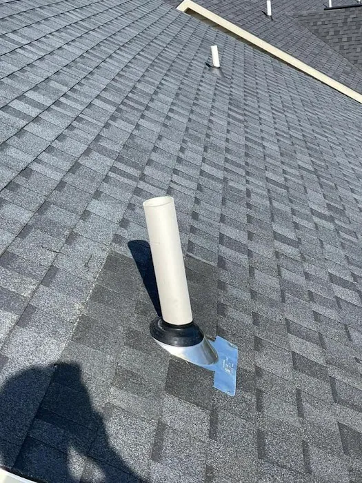 Lion Roofing Picture 10