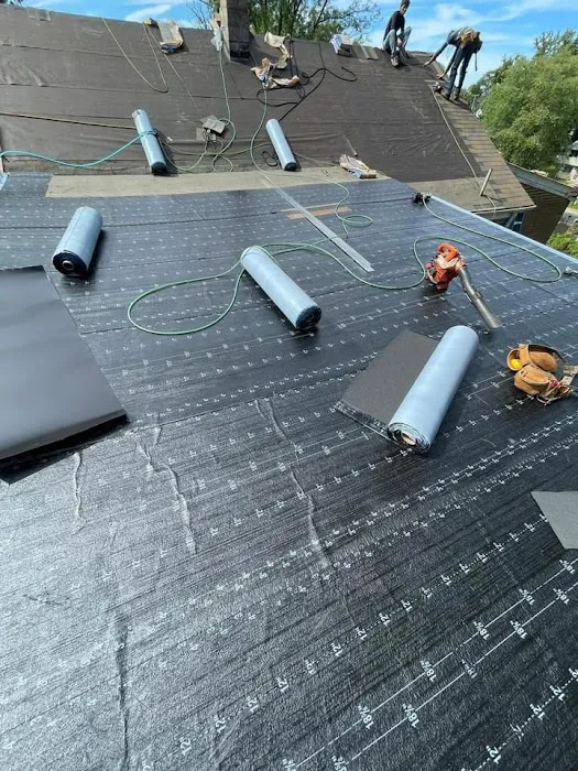 Lion Roofing Picture 3