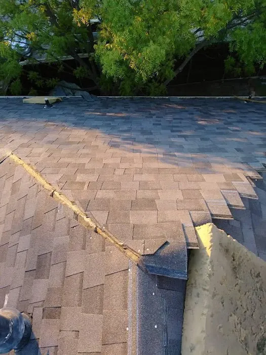 Lion Roofing Picture 1