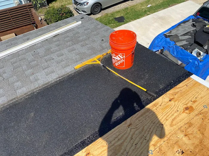 Lion Roofing Picture 9