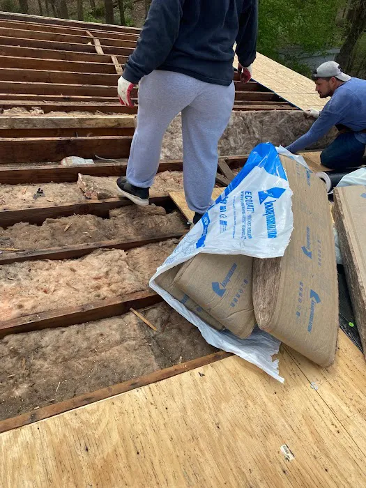 Lion Roofing Picture 7