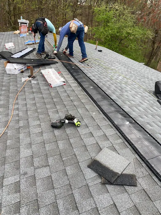 Lion Roofing Picture 8