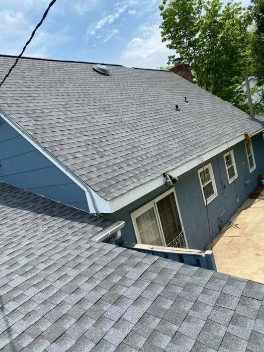 Lion Roofing Picture 4