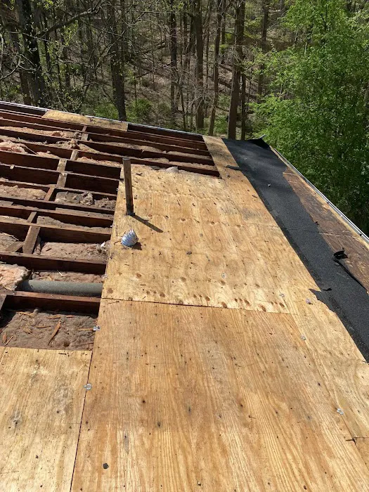 Lion Roofing Picture 6