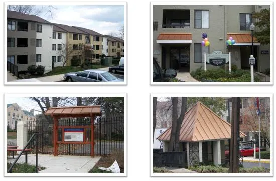 Roof Solutions, Inc. Picture 7