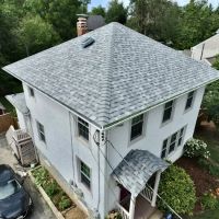 Pink Roofing LLC ico