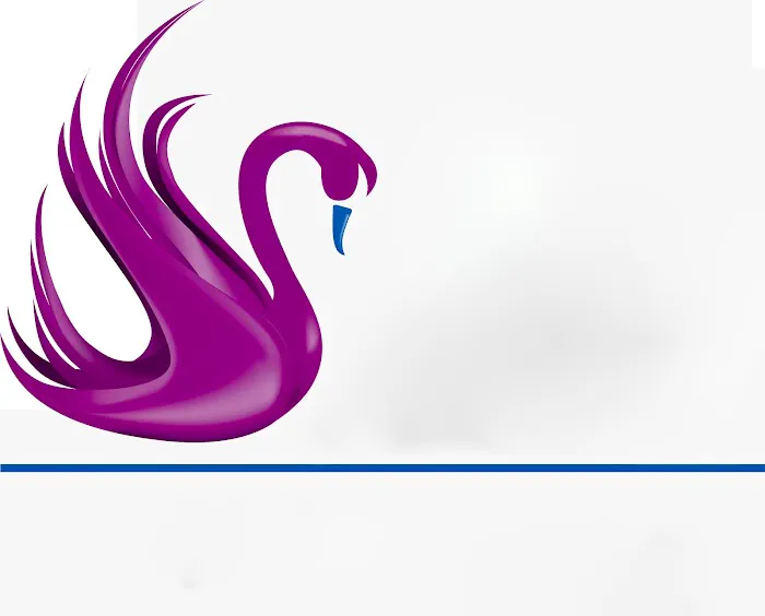 Swan Roofing Contracting Picture 1